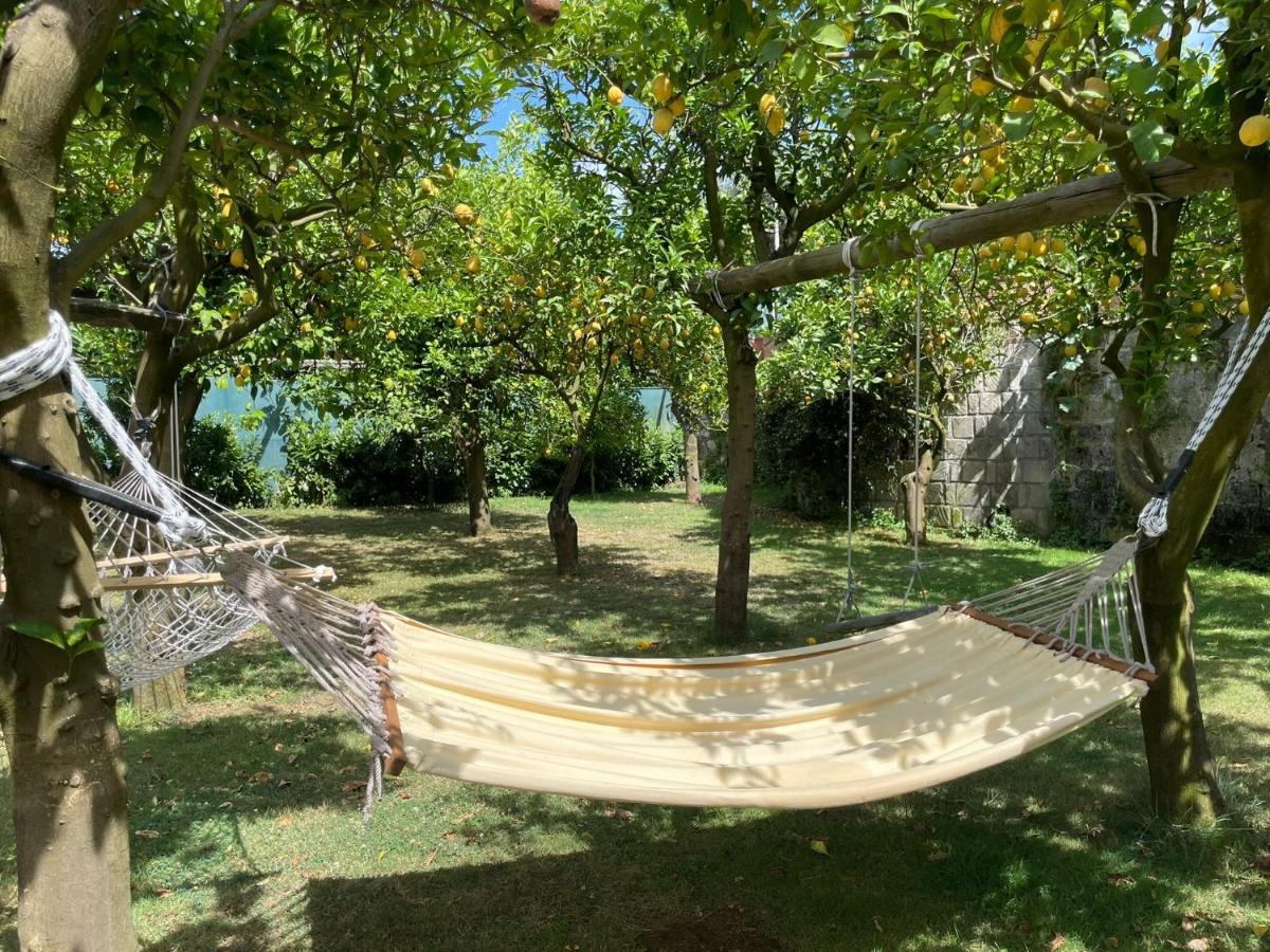 Casa Sorrento, Immerso Nel Verde A Pochi Passi Dal Centro Exterior photo