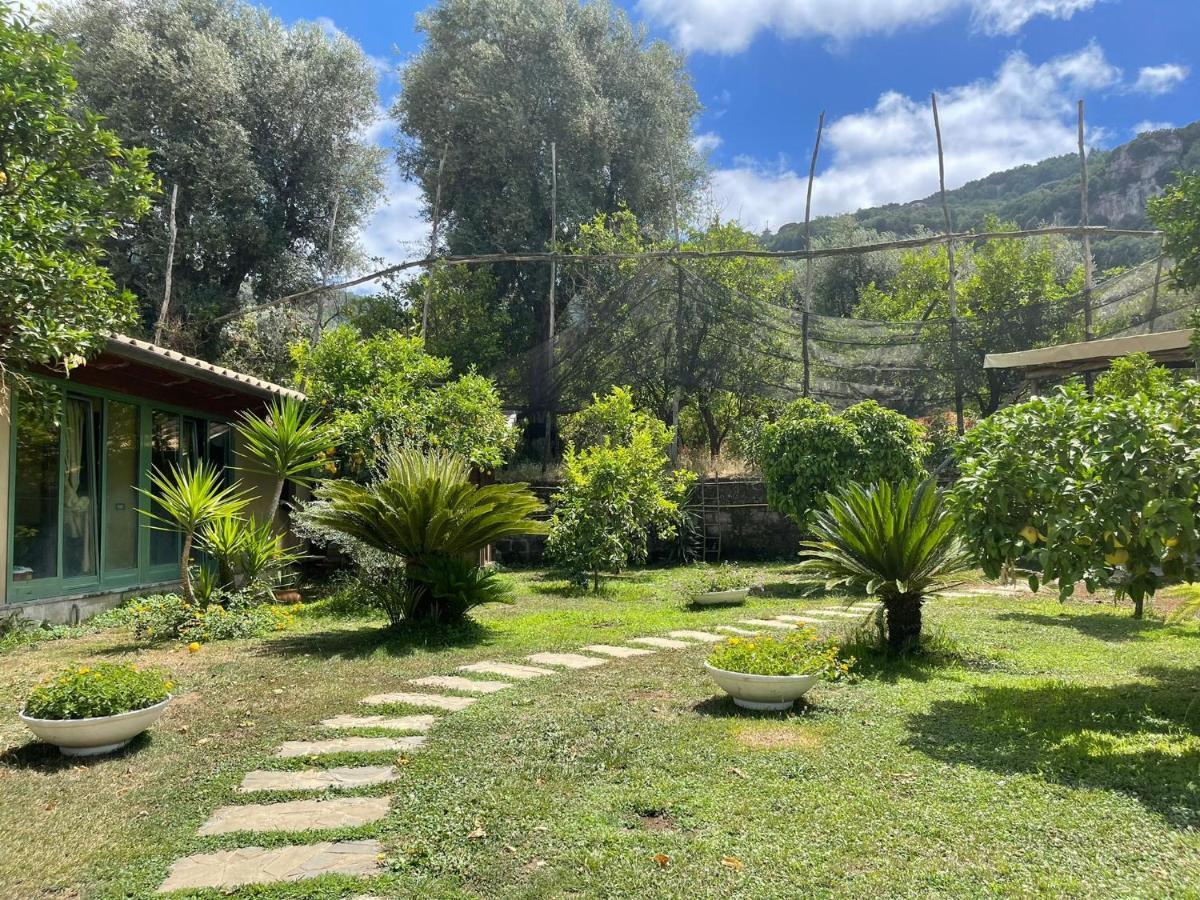 Casa Sorrento, Immerso Nel Verde A Pochi Passi Dal Centro Exterior photo
